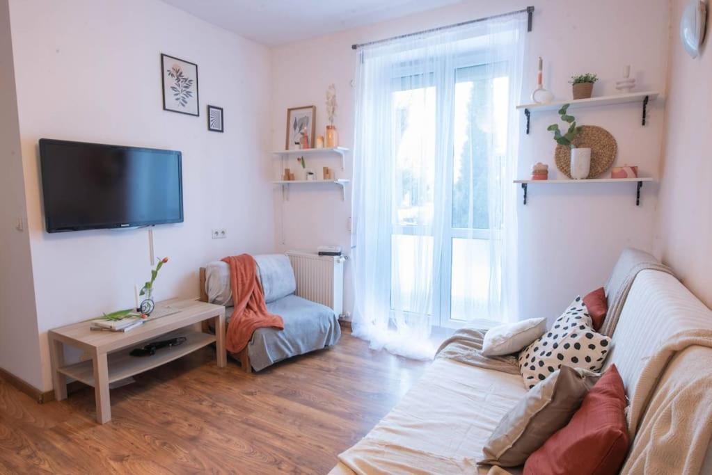 Home Studio Z Ogrodkiem I Altana Kraków Eksteriør billede
